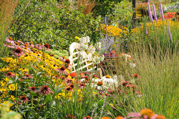 Pollinator Booster 2.0 - Revive Outdoors