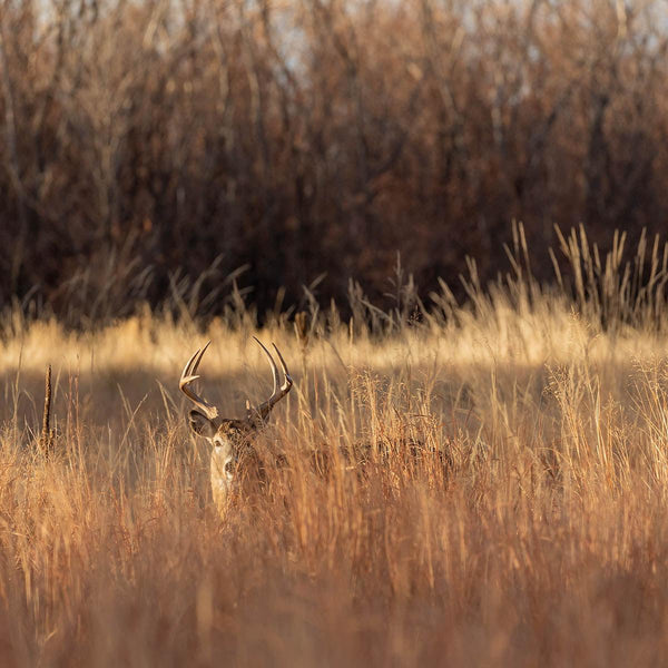 Edge Feather - Revive Outdoors