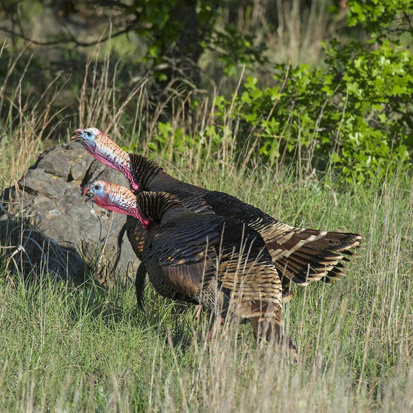 Game Bird Nesting Cover - Revive Outdoors