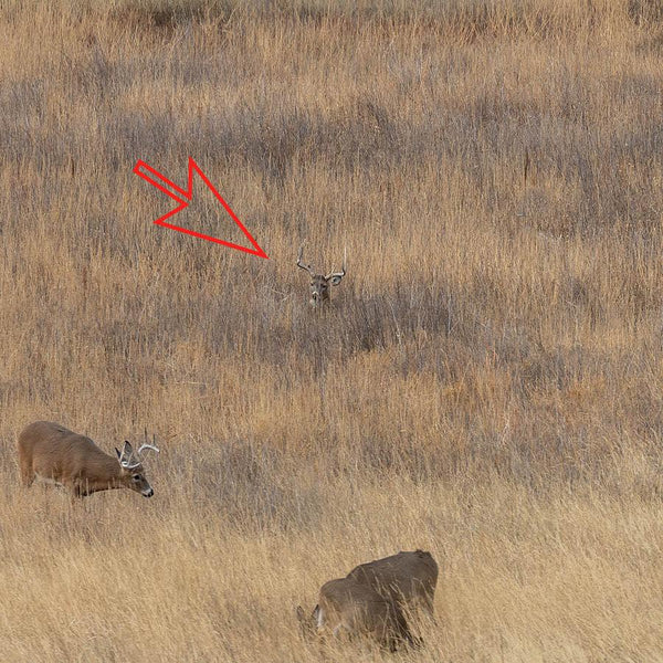 Trail Screening & Cover - Revive Outdoors