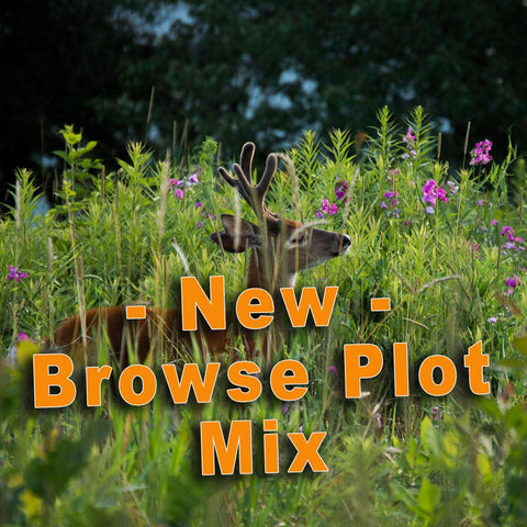 Browse Plot - Revive Outdoors