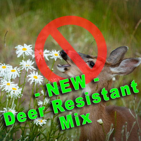 YUCK! Deer Resistant Wildflowers - Revive Outdoors