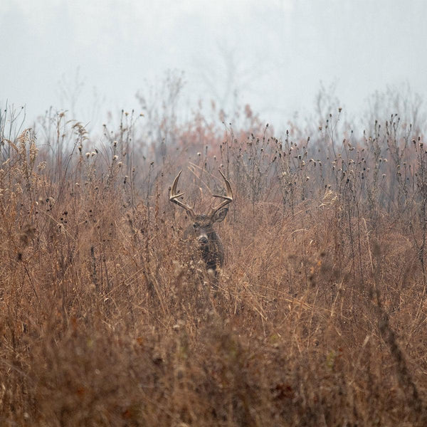 Premium Buck Bedding - Revive Outdoors